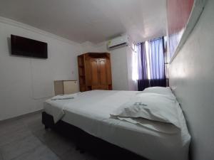 约帕尔HOTEL LA FONTANA的卧室设有一张白色大床和一扇窗户。