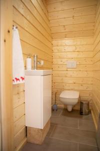 下乌斯奇基BIJAKÓWKA的木制浴室设有卫生间和水槽