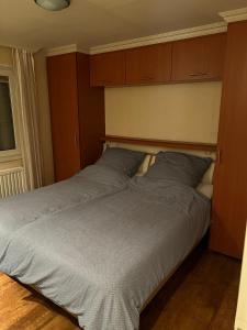 圣安娜兰Chalet Roma 238的一间卧室配有一张带木制橱柜的大床