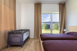 Užpelkiai360 Apartments的一间卧室设有两张床和大窗户