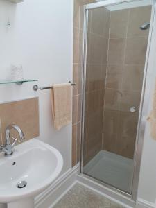 纽基查诺韦思旅馆的带淋浴和盥洗盆的浴室