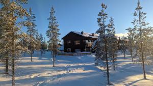 伊德勒Poolorama Lodge - with magnificent mountain view的雪中树下的小木屋