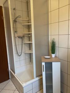 施科伊迪茨Regenbogengasse的带淋浴的浴室,带玻璃门