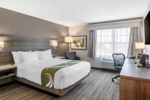 弗雷德里克顿Quality Inn Amsterdam Fredericton的酒店客房设有一张大床和一张书桌。