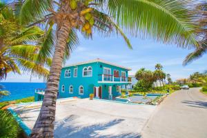 西湾Oceanfront Coral View Home的海滩上的蓝色房子,棕榈树