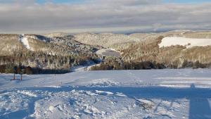 科尔尼蒙Voie Verte的享有雪覆盖的山峰和滑雪场的景色