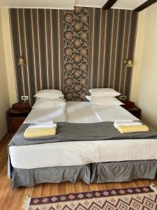 CiurilaPension Domeniul Regilor的一间卧室配有一张大床和两个枕头