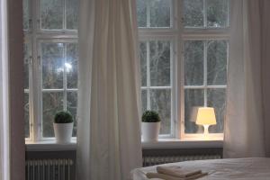 法尔肯贝里Vallarnas Bed & Breakfast的一间卧室,配有带盆栽和灯的窗户