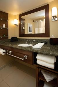 艾兰迪尔Jake's 58 Casino Hotel - Adults Only的一间带水槽和大镜子的浴室