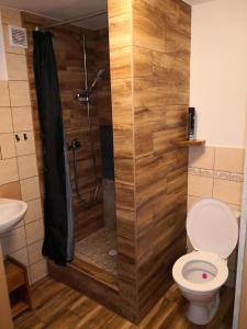 SihelnéChata pod pilskom的带淋浴和卫生间的浴室