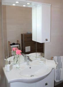 Appartement ROSalia的浴室设有白色水槽和镜子