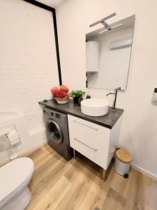 莫伯日Studio confort #2, proche Gare et commodités的一间带水槽和洗衣机的浴室