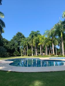 圣玛尔塔Finca San José los Naranjos的棕榈树公园内的游泳池