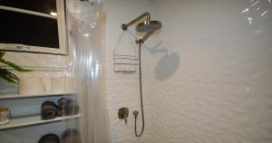布里奇敦Dorvic Cottage的浴室内配有淋浴和头顶淋浴