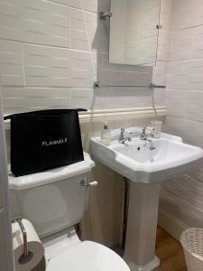 伯明翰Albany house的浴室配有白色卫生间和盥洗盆。