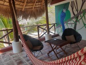 Arroyo CruzAndivi的度假村的吊床,墙上有鹦鹉