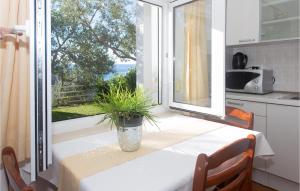 麦米科Awesome Apartment In Mimice With Wifi的厨房配有桌子,窗户上放着植物