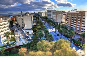 突尼斯拉梅森布兰奇酒店的享有棕榈树和建筑的城市空中景致