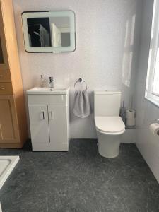 科尔雷恩Glenbann House的一间带卫生间、水槽和镜子的浴室