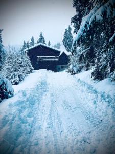 Pusté Polechata REINA的房屋前有雪覆盖的道路