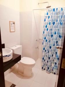 马尼拉The Rochester Parklane Condominium的一间带卫生间和淋浴帘的浴室