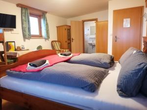 皮恩山口附近施皮塔尔欧博温格尔霍夫公寓式酒店的一间卧室配有两张床,上面有红毯