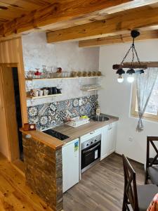 莫克拉戈拉米利夫公寓的厨房配有炉灶和台面