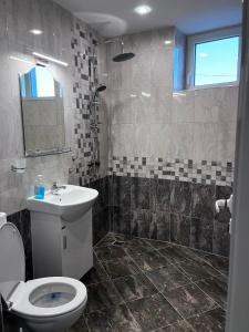 Семеен Хотел Сестримо的一间带卫生间和水槽的浴室