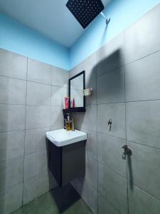 莎阿南Cabin stay with Sunrise and plane spotting view的一间带水槽、镜子和淋浴的浴室