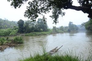 Greenways Tree House and Mud House平面图