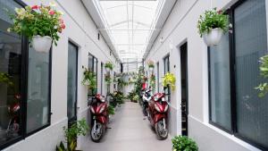 大叻296 Cetete - Home in Dalat的停在走廊上的一排摩托车,里面种有植物