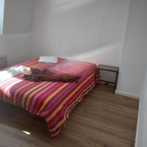 鲁贝Chambres privatives avec espaces partagés dans maison Roubaix centre的一张床上的房间,上面有五颜六色的毯子