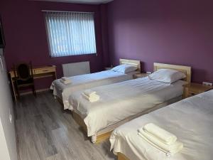 Семеен Хотел Сестримо的紫色墙壁客房的两张床