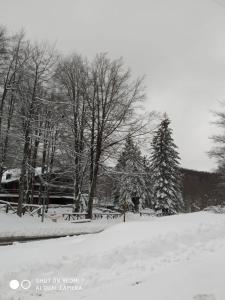 LivataCasa nel bosco的一座有树木和长凳的雪地公园