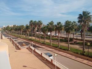 拉曼加戴尔马尔梅纳COMFORT SUITE La Manga, marina & beach的一条种有棕榈树的街道