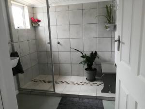 海德堡Rose Cottage AtTheDairyShed的一间带淋浴的浴室,配有盆栽植物