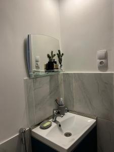 第比利斯Apartment Sunny Mood的一间带水槽和镜子的浴室