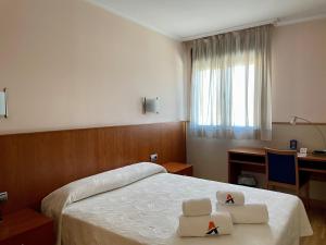 San Román安达穆圣罗曼酒店的配有一张床、一张书桌和一扇窗户的酒店客房