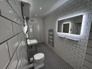 比迪福德Lower Winsford Apartments & Rooms的白色的浴室设有卫生间和镜子