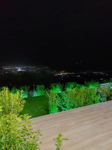 哈尔基斯Chalkida Hilltop Apartments的享有城市的夜景,配有绿灯