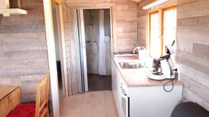 斯蒂克松鲁姆Stundarfriður cottages的一个带水槽和淋浴的小厨房