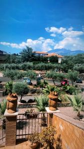 拉加尔纳Villa Casina dell'Etna的享有种植了盆栽植物的花园美景