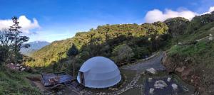 下博克特TREE TREK BOQUETE Adventure Park的空中山景圆顶帐篷
