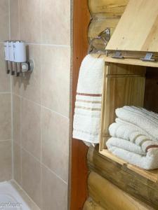 波特雷里约斯Rincón Lejano的浴室提供毛巾架和一些毛巾。
