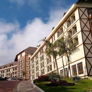 AracêCOND Vista azul hotel的一座棕榈树环绕的大建筑