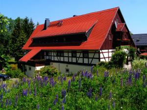 霍恩斯泰因Landhaus Sorgenfrei的相册照片