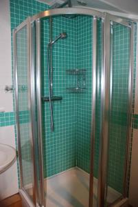 Marytavy象窝住宿加早餐旅馆的绿色瓷砖浴室设有淋浴和卫生间