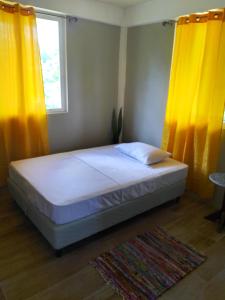 Paix Bouche2 Bedroom Residential Rental Unit的一间卧室配有一张带黄色窗帘和地毯的床