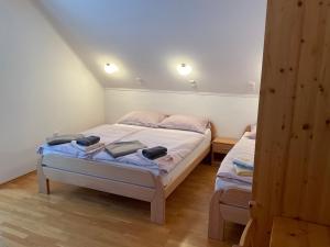 索尔察瓦TURISTIČNA KMETIJA STREVC的一间卧室,配有两张床