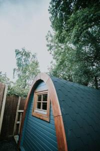 巴茅思River Side Cabin with Hot tub Snowdonia的一间蓝色的小房子,上面有窗户